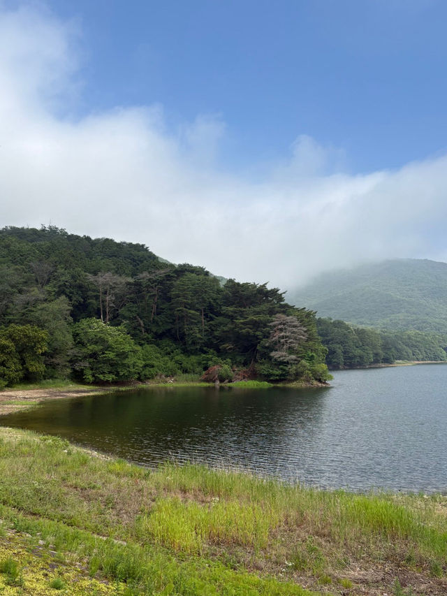 부산 근교 양산에 있는 피톤치드 가득한 산책로🍃