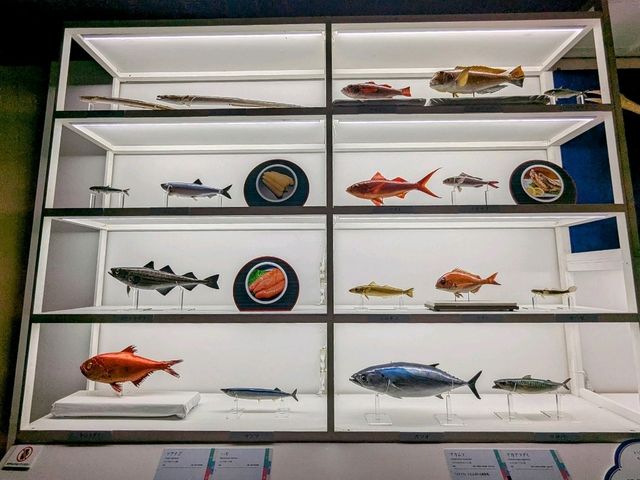 京都 | 「和食」特展---日本自然與人民的智慧