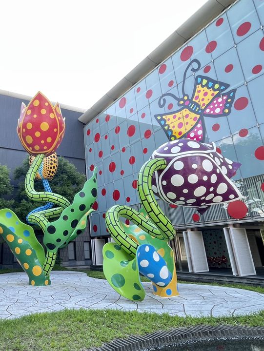 Yayoi Kusama Museum พิพิธภัณฑ์ศิลปะเมืองมัตสึโมโต้