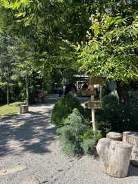 ☕🌿 The Humble Jack Cafe & Bistro