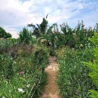 Pranberry Field 🌺🌿
