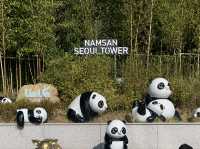 ✨ Touching the Sky at N Seoul Tower ✨