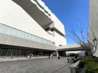 Step Into 6,000 Years of Chinese Art – Explore Shanghai Museum East