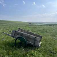 Grasslands, Gers, and Blue Skies: Summer Freedom in Hohhot
