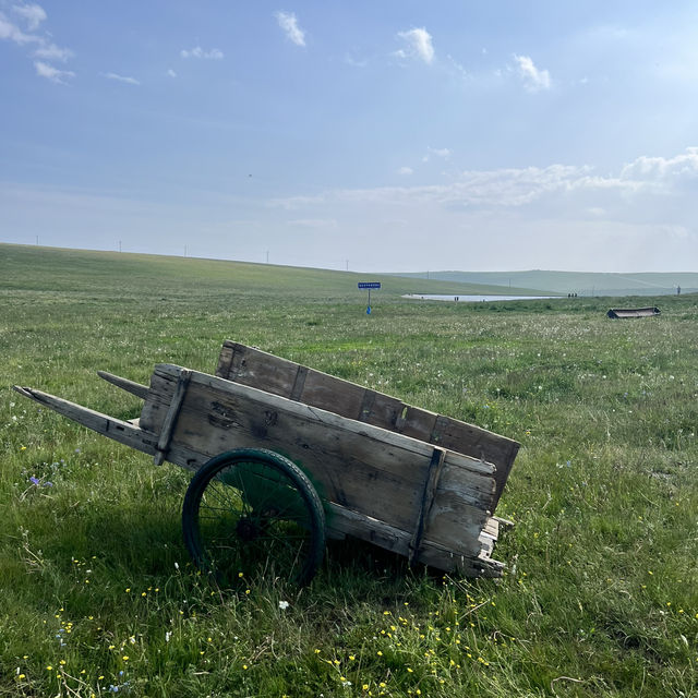 Grasslands, Gers, and Blue Skies: Summer Freedom in Hohhot