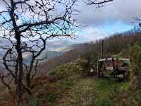 Secret Forest Vibes in Galicia