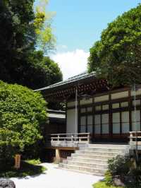 【鎌倉】報国寺の竹林
