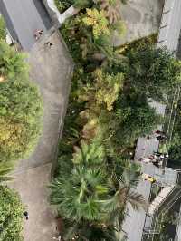 🌿 Cloud Forest — Singapore’s Climate-Controlled Paradise