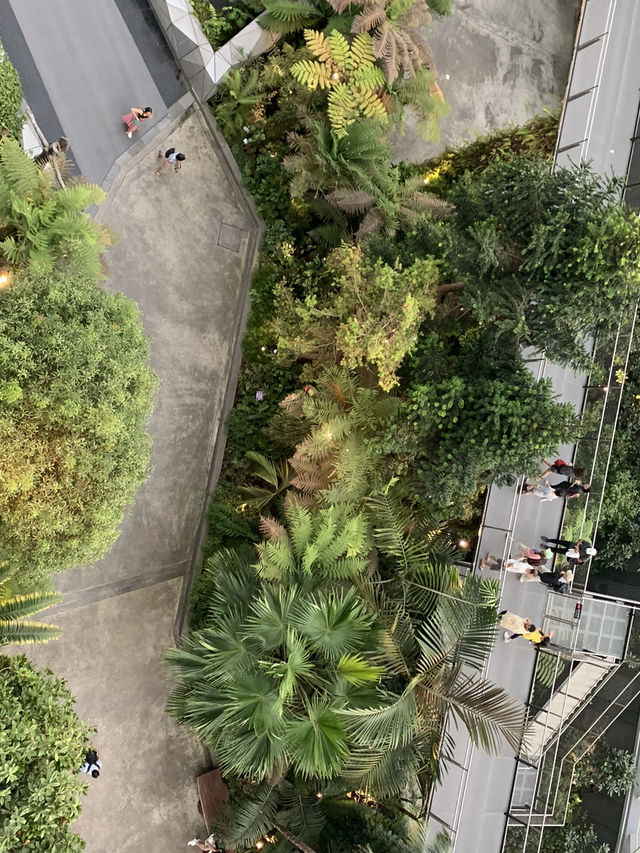 🌿 Cloud Forest — Singapore’s Climate-Controlled Paradise