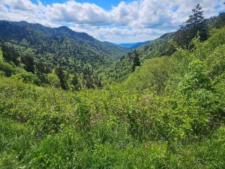 Great Smoky Mountains National Park