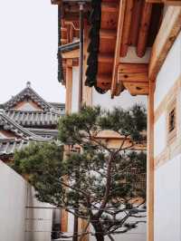🏘️📍 1인1잔 : eunpyeonggu hanok village