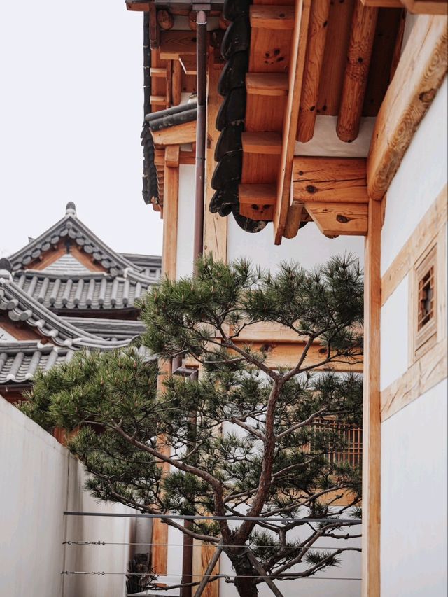 🏘️📍 1인1잔 : eunpyeonggu hanok village