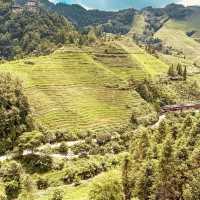 Longji Rice Terraces: A Solo Traveler’s Journey Through China’s Dragon Spine Mountains"** 🐉🌾