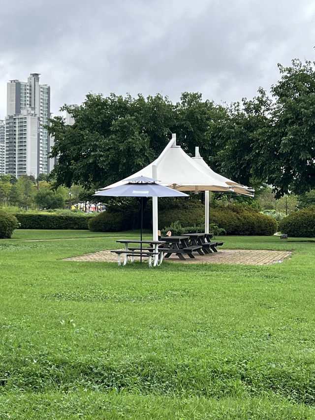잠실 한강공원에서 만나요