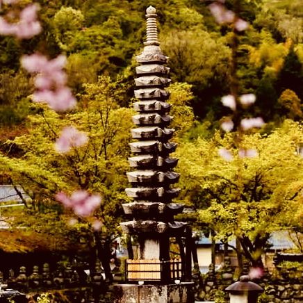 Adashino Nenbutsuji: Kyoto’s Most Hauntingly Beautiful Temple – A Solo Traveler’s Pilgrimage"** 🕯️🌿