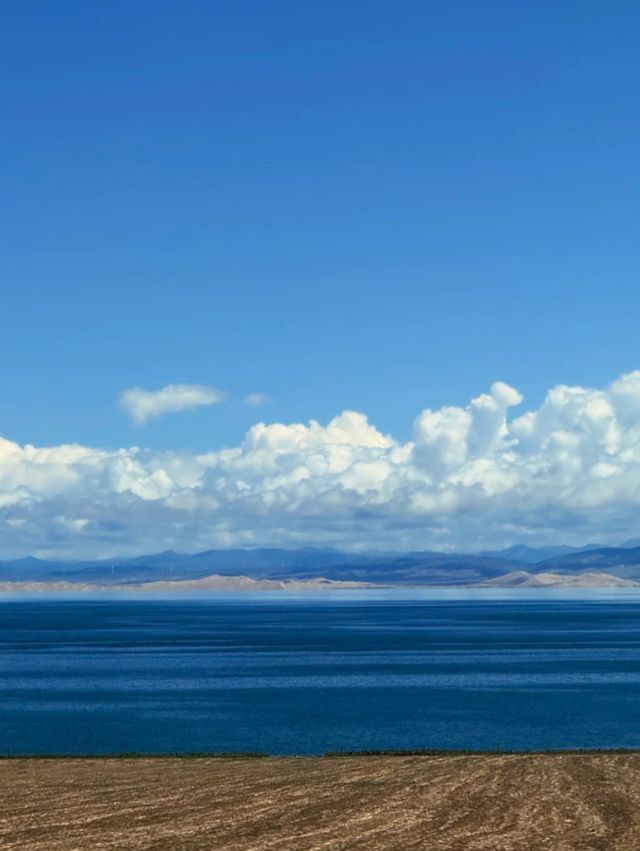 Whispers of the Wind: Qinghai Lake’s Eternal Peace