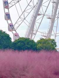 Shanghai in Pink: Autumn Fairyland at Gucun Park 🌸🎡