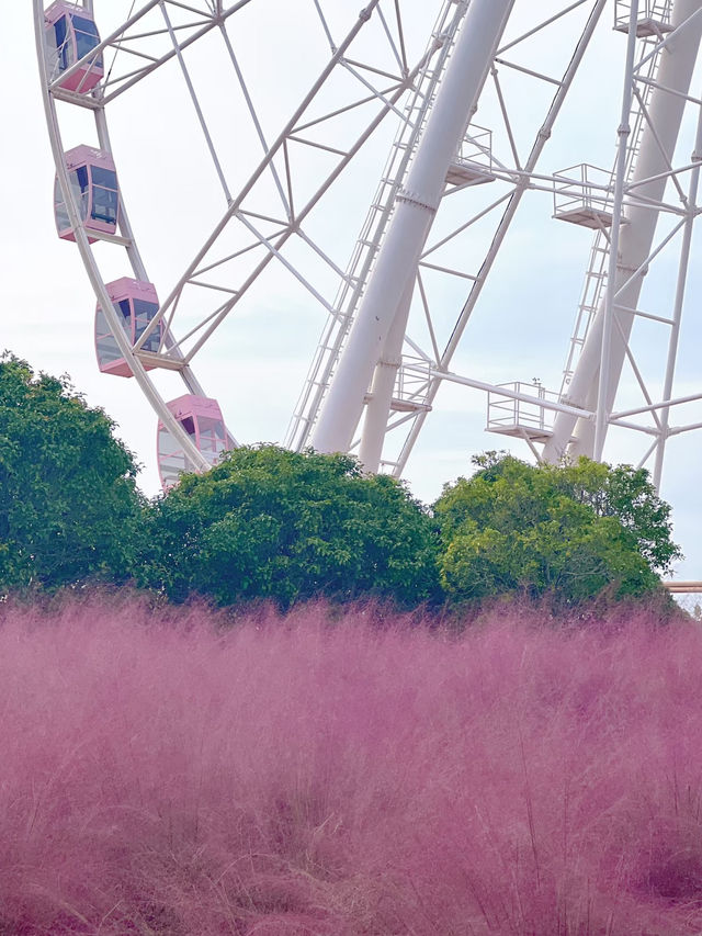 Shanghai in Pink: Autumn Fairyland at Gucun Park 🌸🎡
