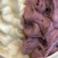 【東京/吉祥寺🇯🇵】フローズンヨーグルト専門店🥛ウッドベリーズ