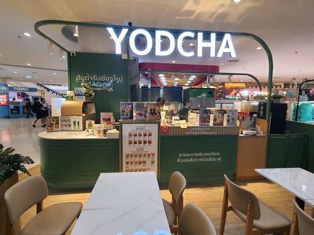 ยอดชา กาแฟชดภูเขาเชียงใหม่ เซ็นทรัลเวสต์เกต