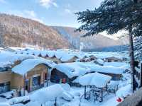 Snow Town Fairytale: The Winter Charm of Mushroom Houses