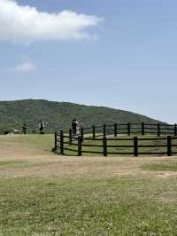 Qingtiangang grassland 