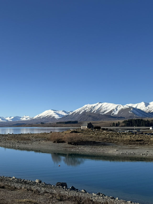 Tekapo - Lake, Dog statue & Church 