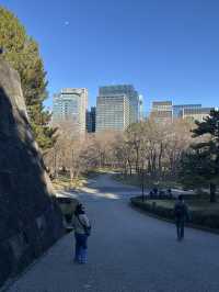 Tokyo 2025 Itinerary