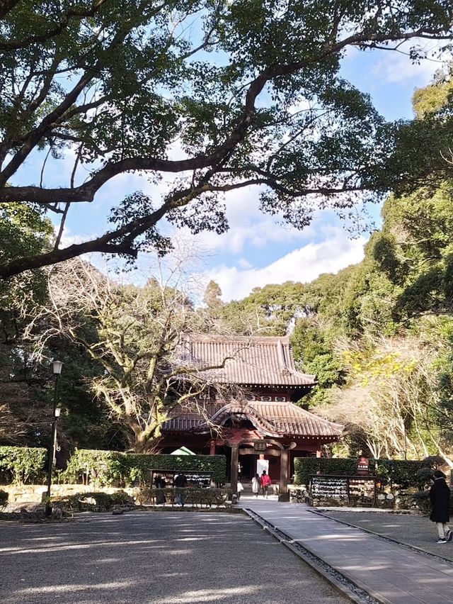 【多久聖廟】日本最古の孔子廟で、静寂と知の旅へ📚⛩️