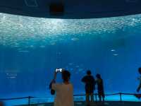 名古屋港水族館