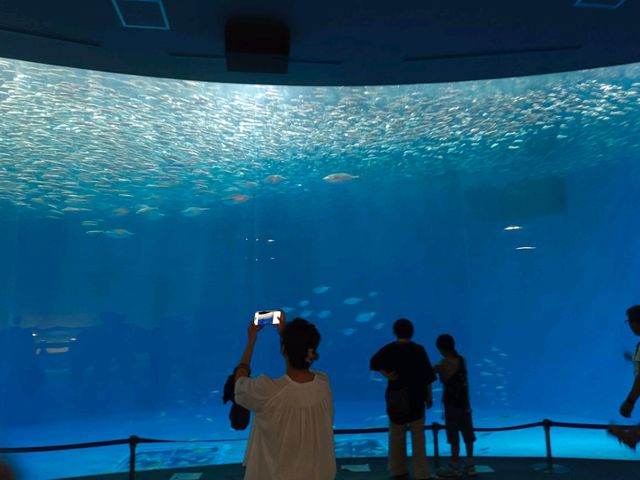 名古屋港水族館