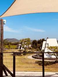 Airstream Dreamscape: Sleek Shelter in Wild Beauty