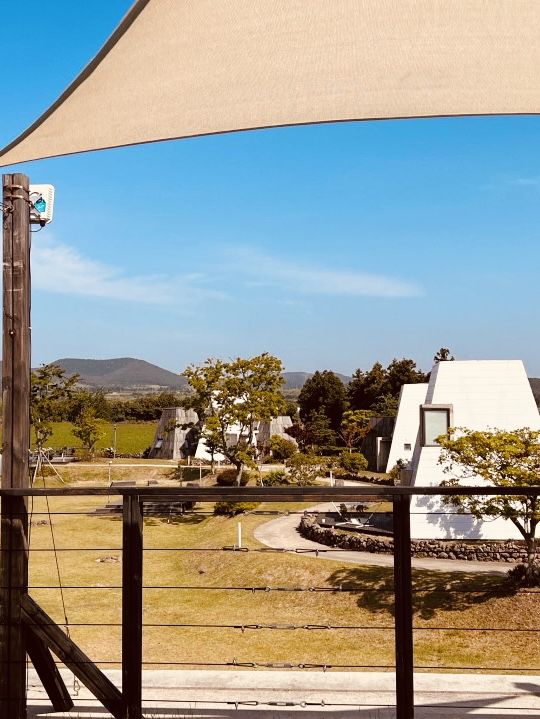Airstream Dreamscape: Sleek Shelter in Wild Beauty