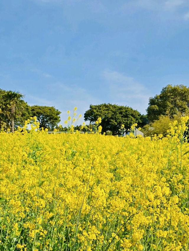 A Romantic Spot Steeped in Legend and Serenity