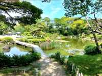 Peaceful Moments at Tennoji Park, Osaka