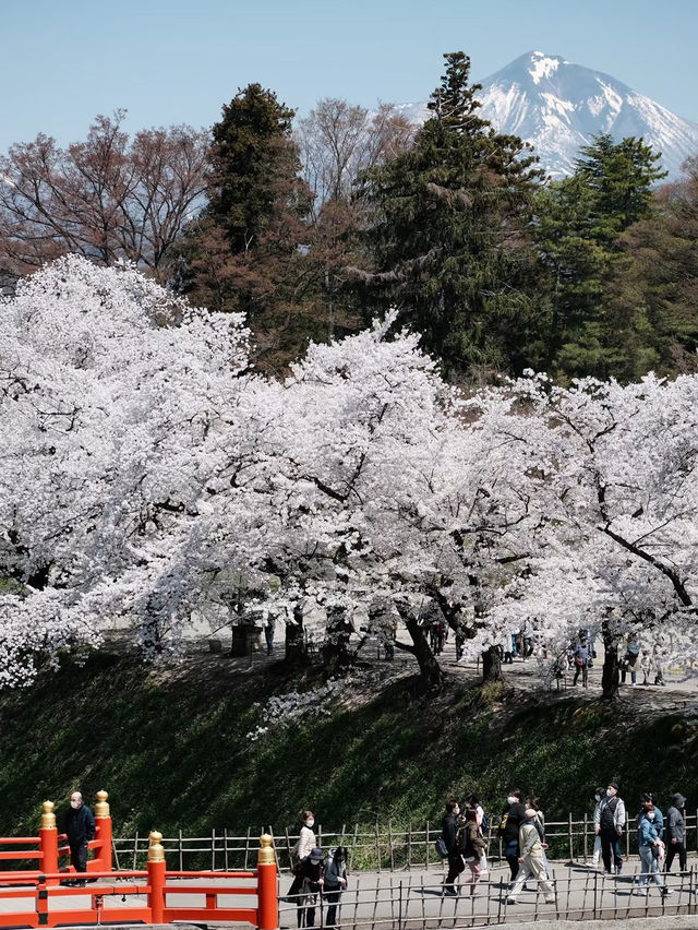🏞️Fukushima Hidden Gem – Nature & Nostalgia on a Budget!