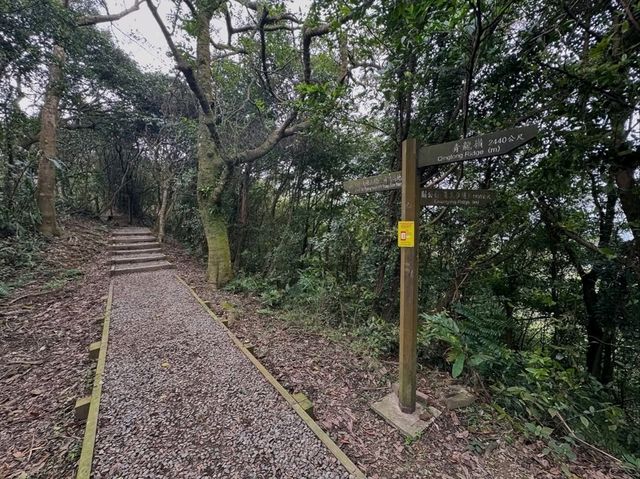 Datongshan 405 Triangulation Point Gave Me Chill Mountain Vibes