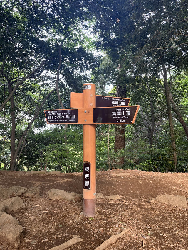 Mount Takao is the perfect half‑day escape: blend nature, culture, and light adventure