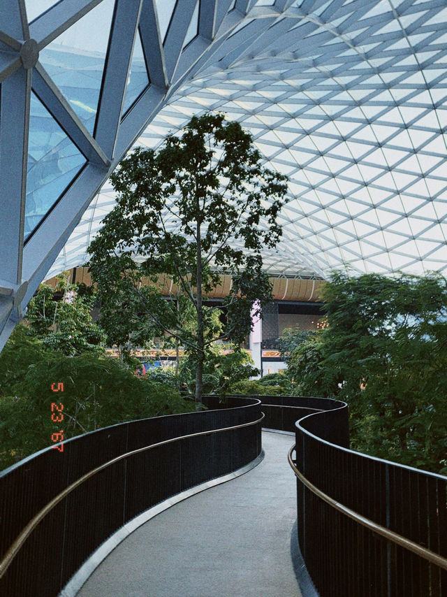 Layover at Hamad International Airport, Doha Qatar