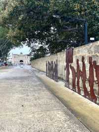 Timeless Beauty- Fremantle Street 