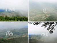 รับลมหนาว อุทยานแห่งชาติภูเรือ เลย