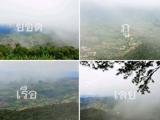 รับลมหนาว อุทยานแห่งชาติภูเรือ เลย