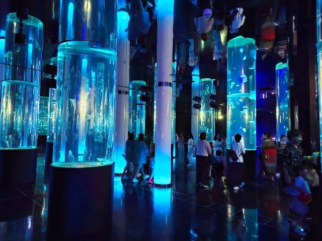 DMM水族館