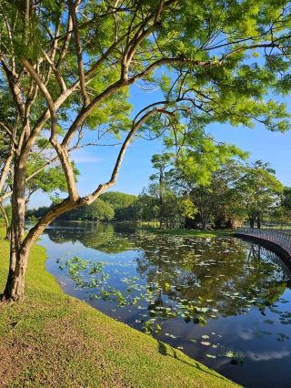 Why Cyberjaya Lake Gardens Is My Favorite Place to Unwind