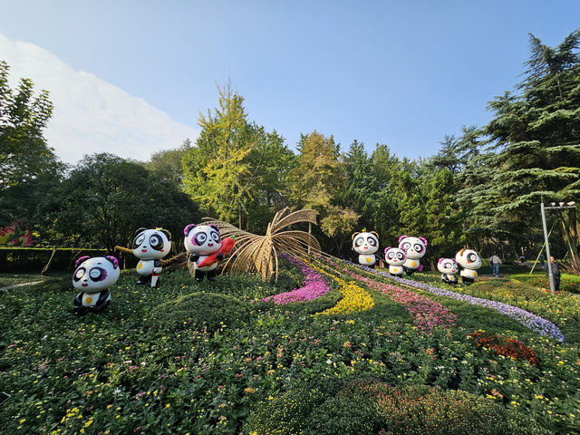 🌳 People’s Park Chengdu: A Historic Heartbeat of Sichuan
