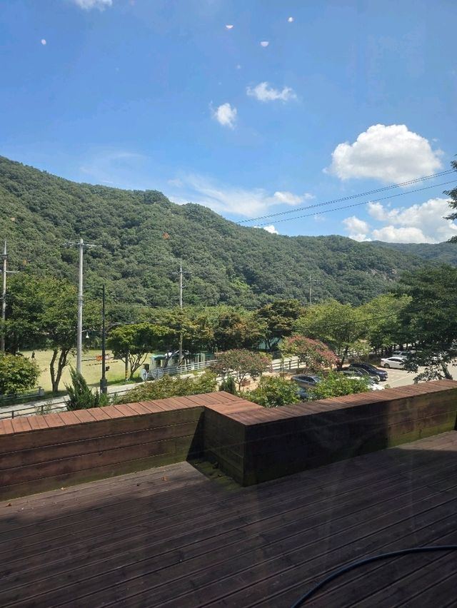 담양 아리에뜰 카페 방문 🌿☕
