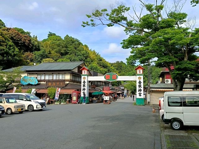 北千葉/南茨城鐵路小旅遊