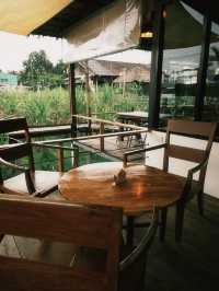 จำเลยรัก คาเฟ่