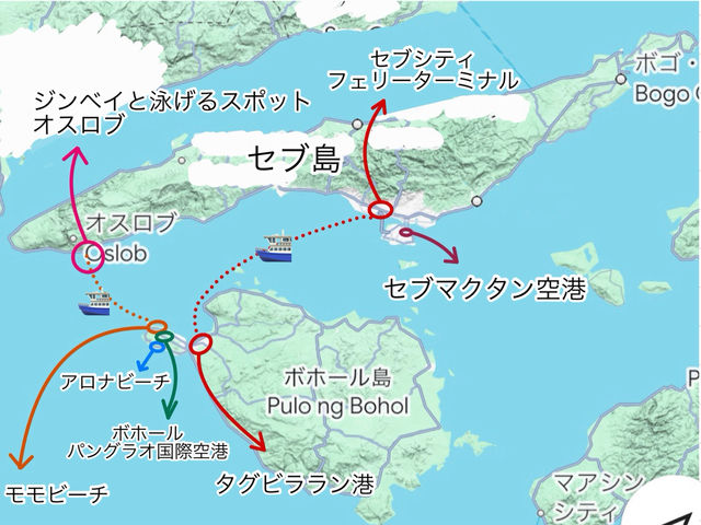 フェリーで行く ボホール島 発着ツアー