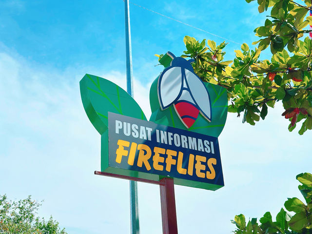 Firefly Magic at Cherating – Nature’s Living Lanterns